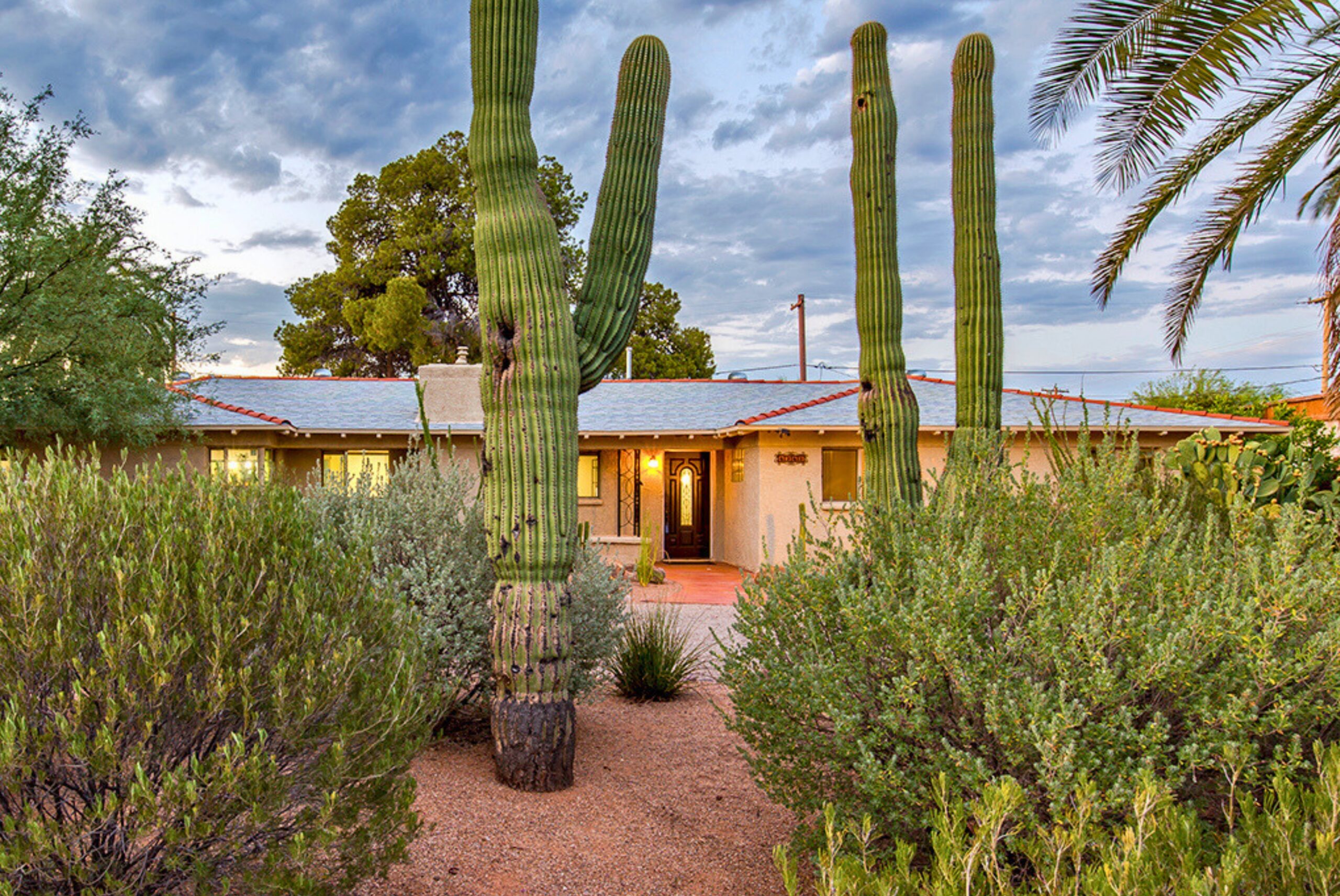 Single-story Tucson home framed by mature saguaros and Sonoran Desert landscaping