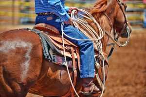 tucson horseback riding