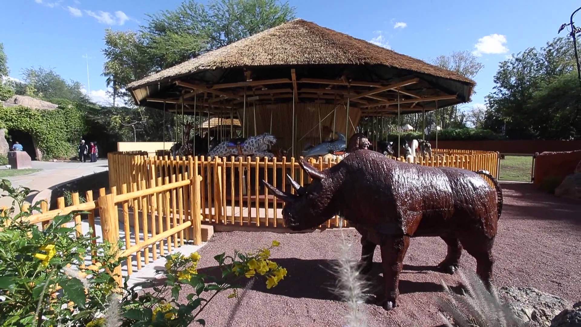 Reid Park Zoo in Tucson, AZ.