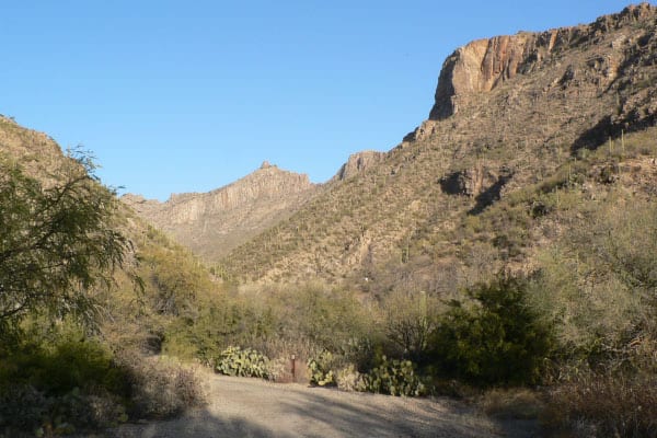 Sabino Canyon