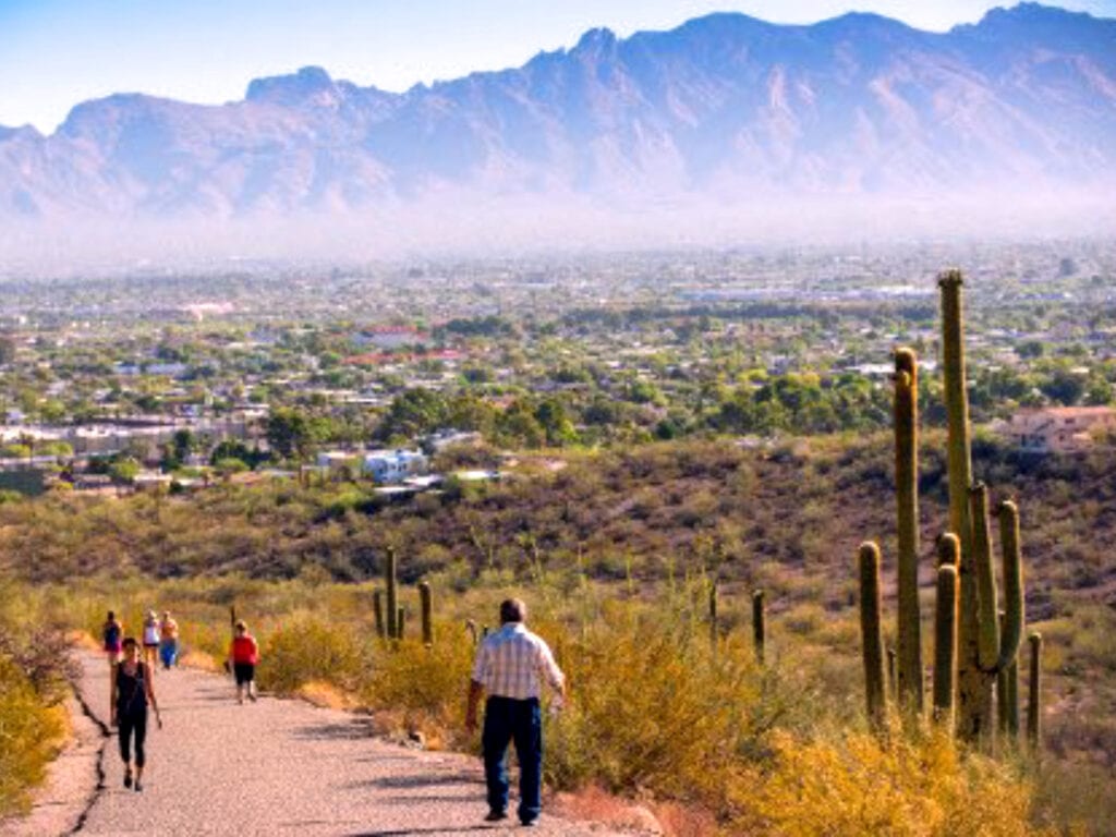 Walkers at Tumamoc Hill