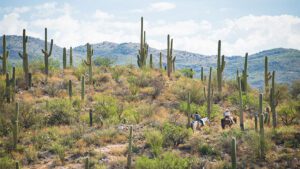 Tucson Open Spaces are Great for Hiking and Horse Back Riding