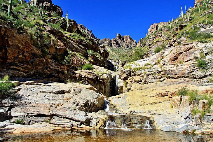 5 Best Hikes In Tucson
