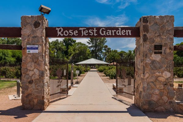Rose Garden