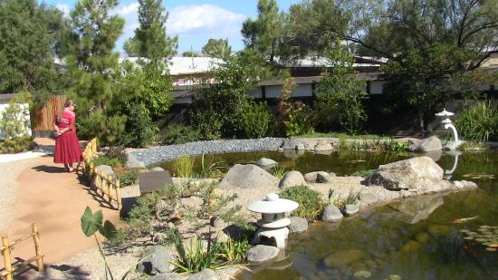 Yume Japanese Gardens of Tucson