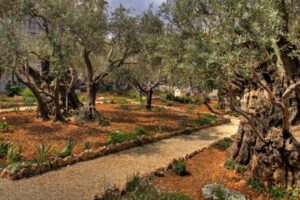 Garden of Gethsemane (Felix Lucero Park)